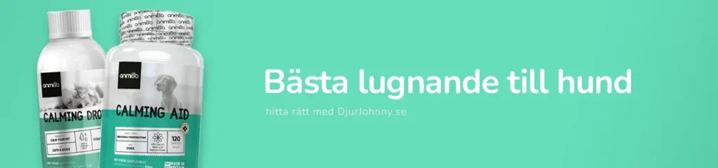 Bästa lugnande till hund