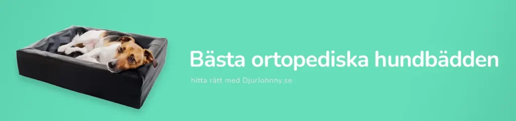 Bästa ortopediska hundbädden