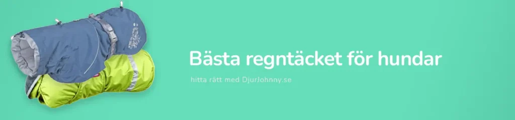 Bästa regntäcket för hundar