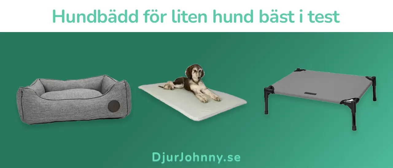 Hundbädd för liten hund bäst i test
