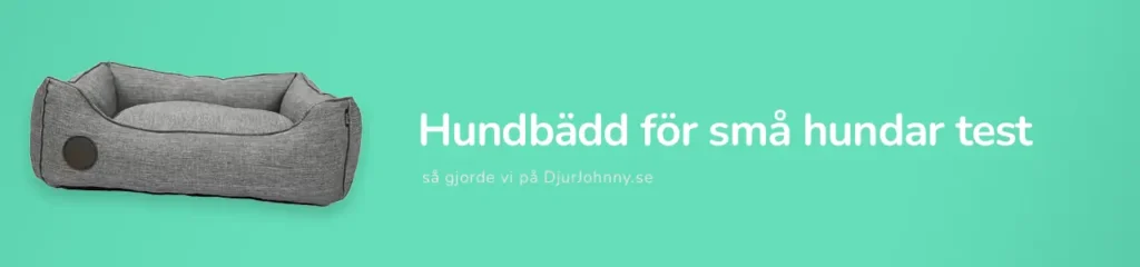 Hundbädd för små hundar test