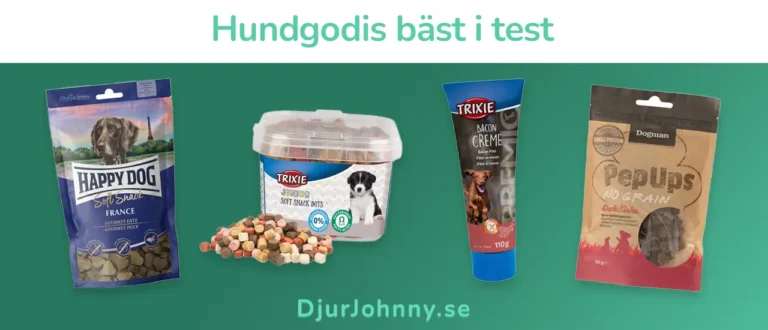 Hundgodis bäst i test