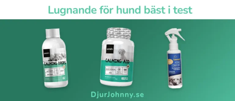 Lugnande för hund bäst i test