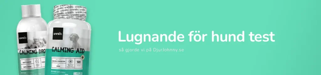 Lugnande för hund test