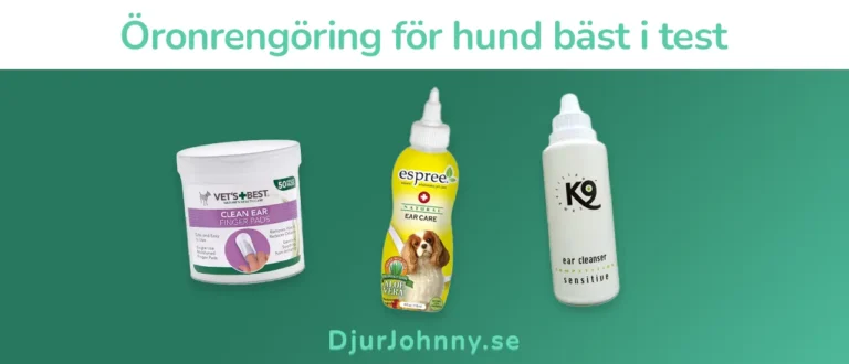 Öronrengöring för hund bäst i test