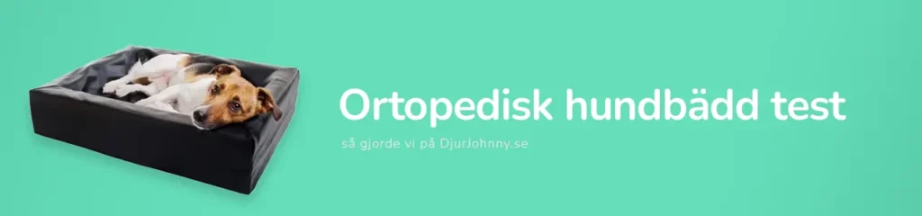 Ortopedisk hundbädd test