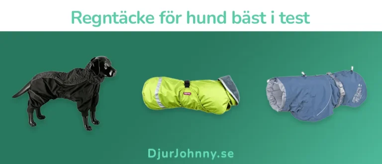 Regntäcke för hund bäst i test